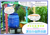 2015夏休み無料体験
