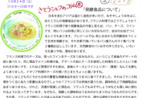 チラシvol.9