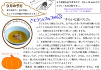 チラシvol.9