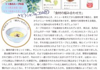 チラシvol.9