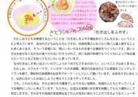 チラシvol.16