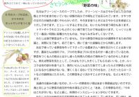 チラシvol.9