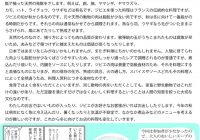 チラシvol.31