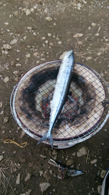 サンマ