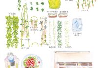 チラシvol.66