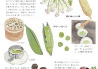 チラシvol.76-2