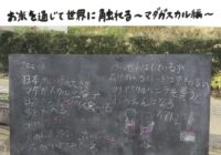 お米1